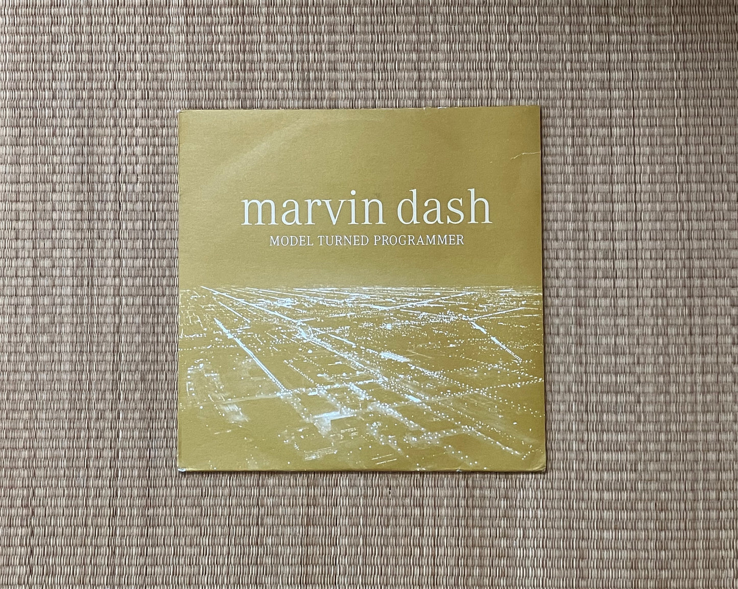 marvin dash - model turned programmer