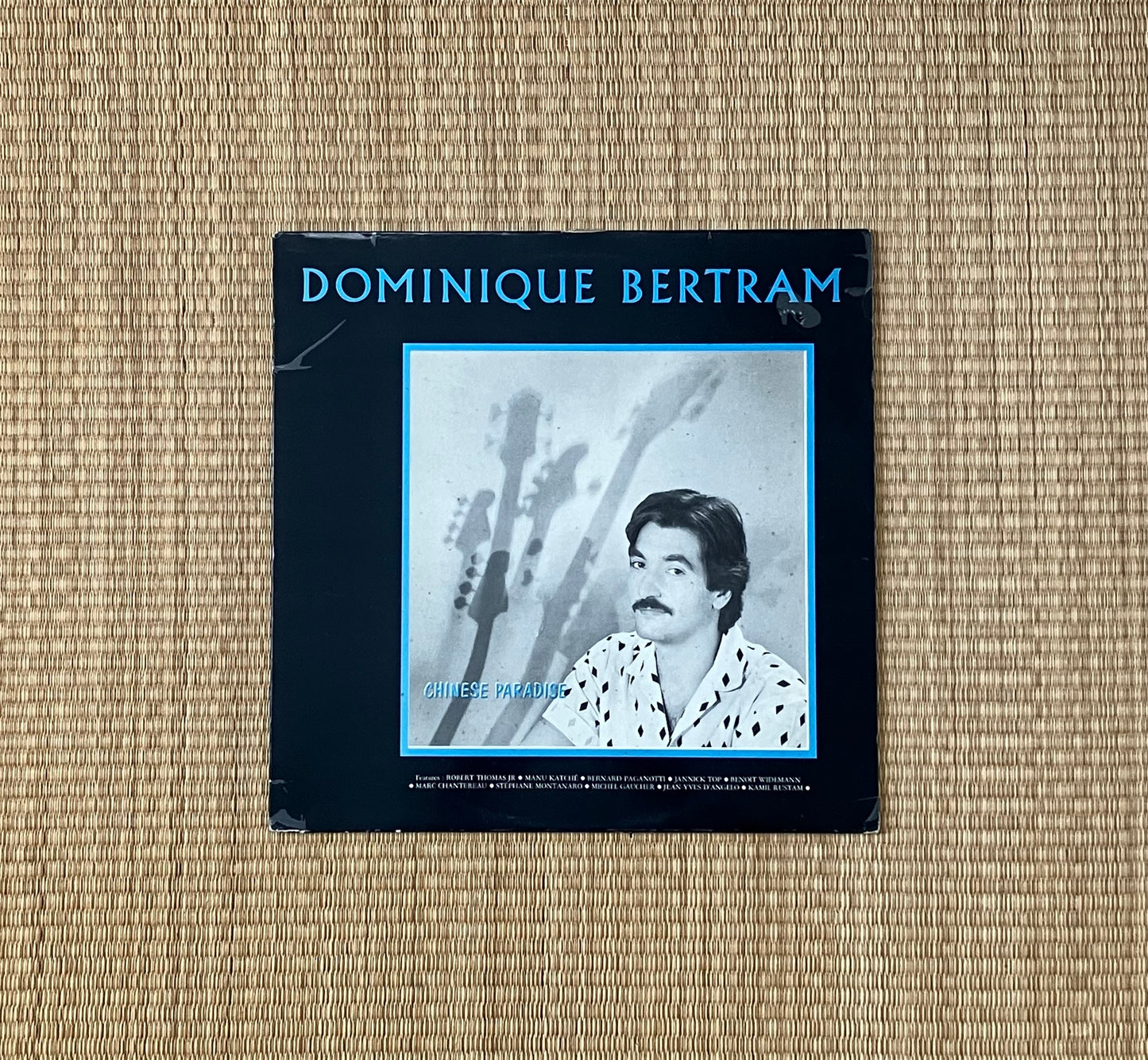 dominique bertram - chinese paradise