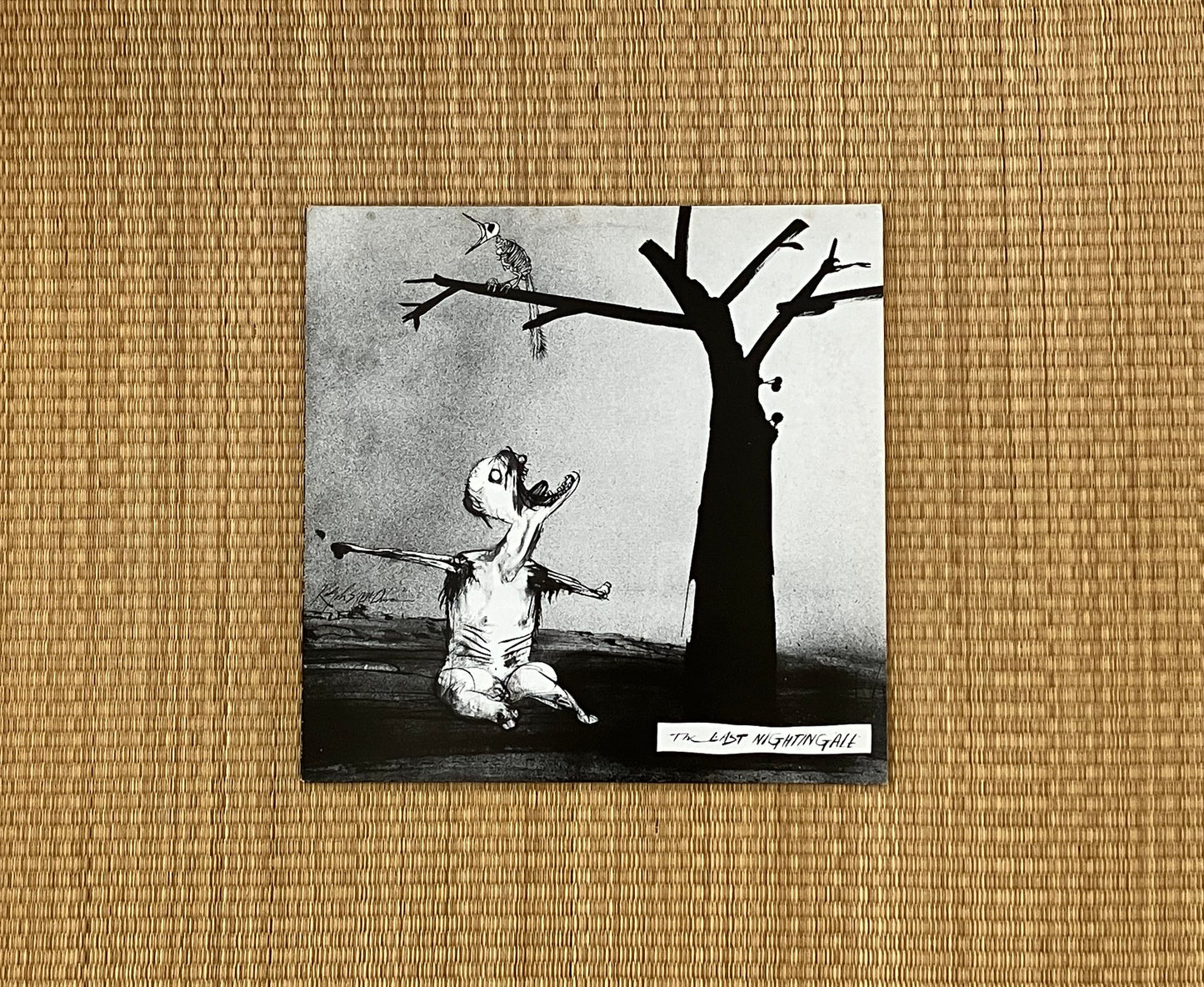 v/a - the last nightingale