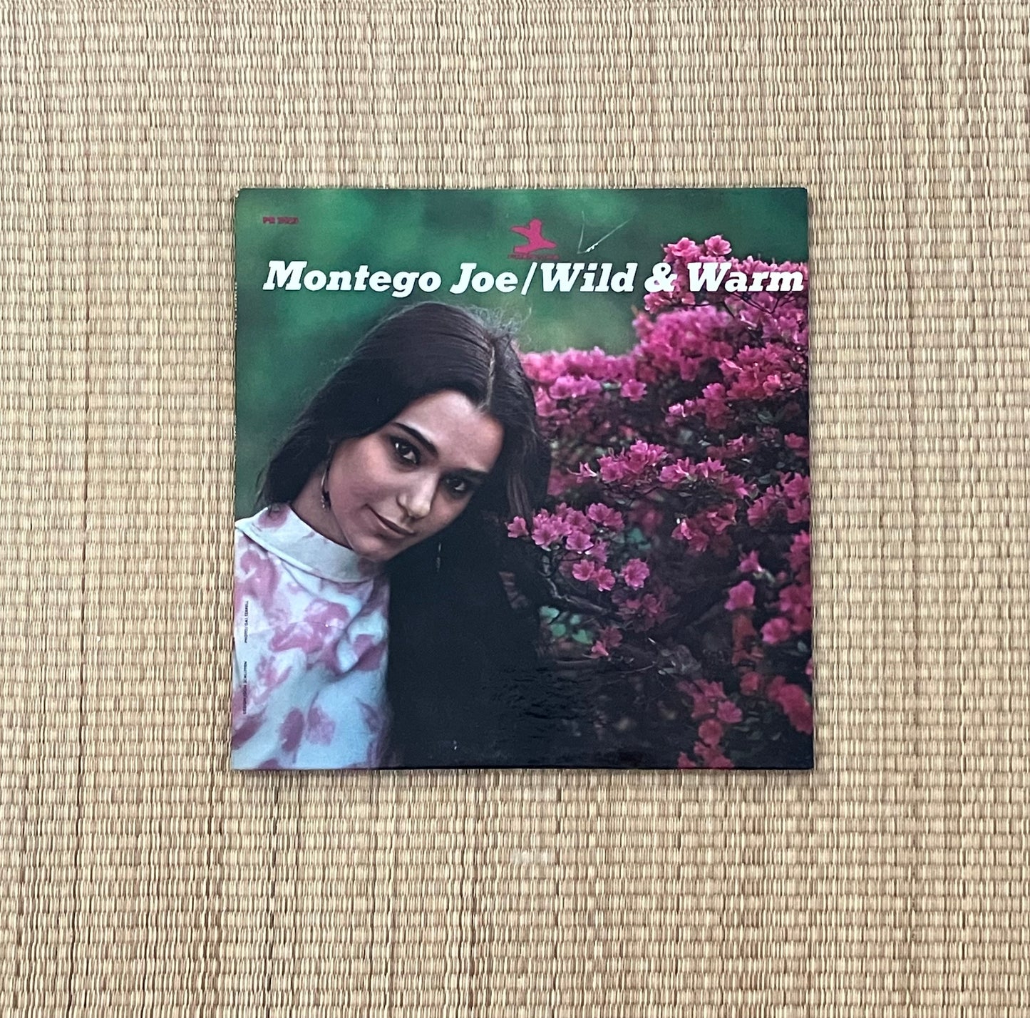 montego joe - wild & warm