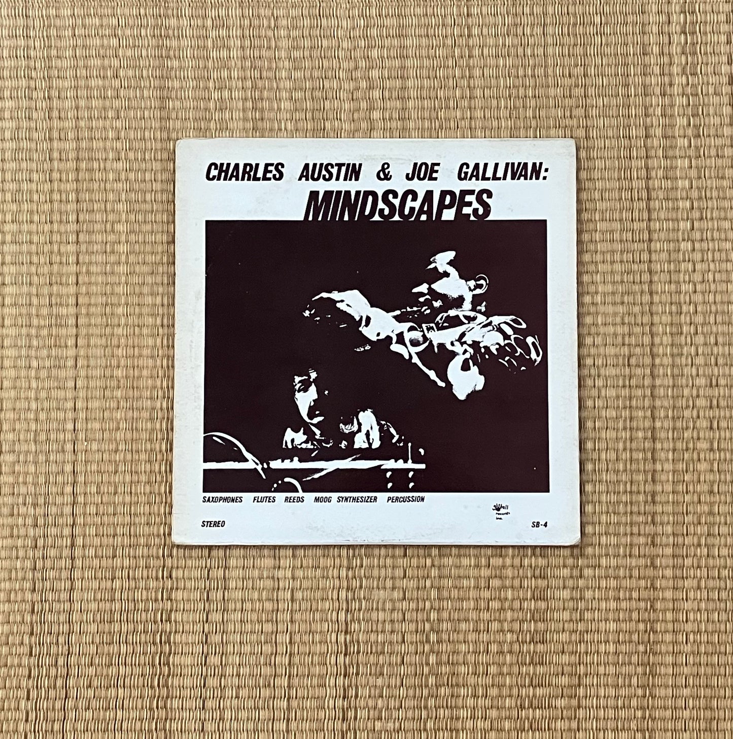 charles austin & joe gallivan - mindscapes