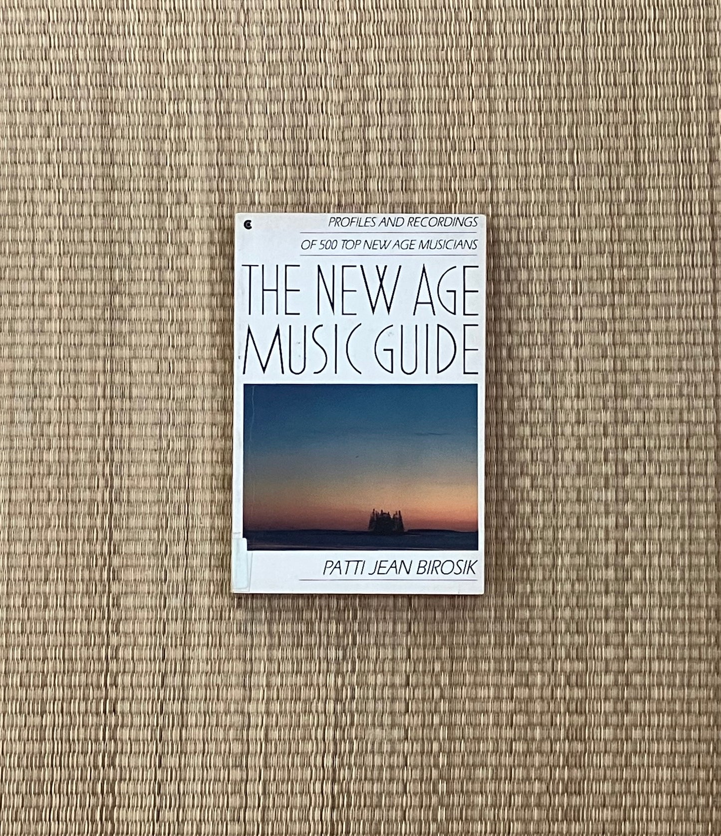 patti jean birosik - the new age music guide: profiles and recordings of 500 top new age musicians