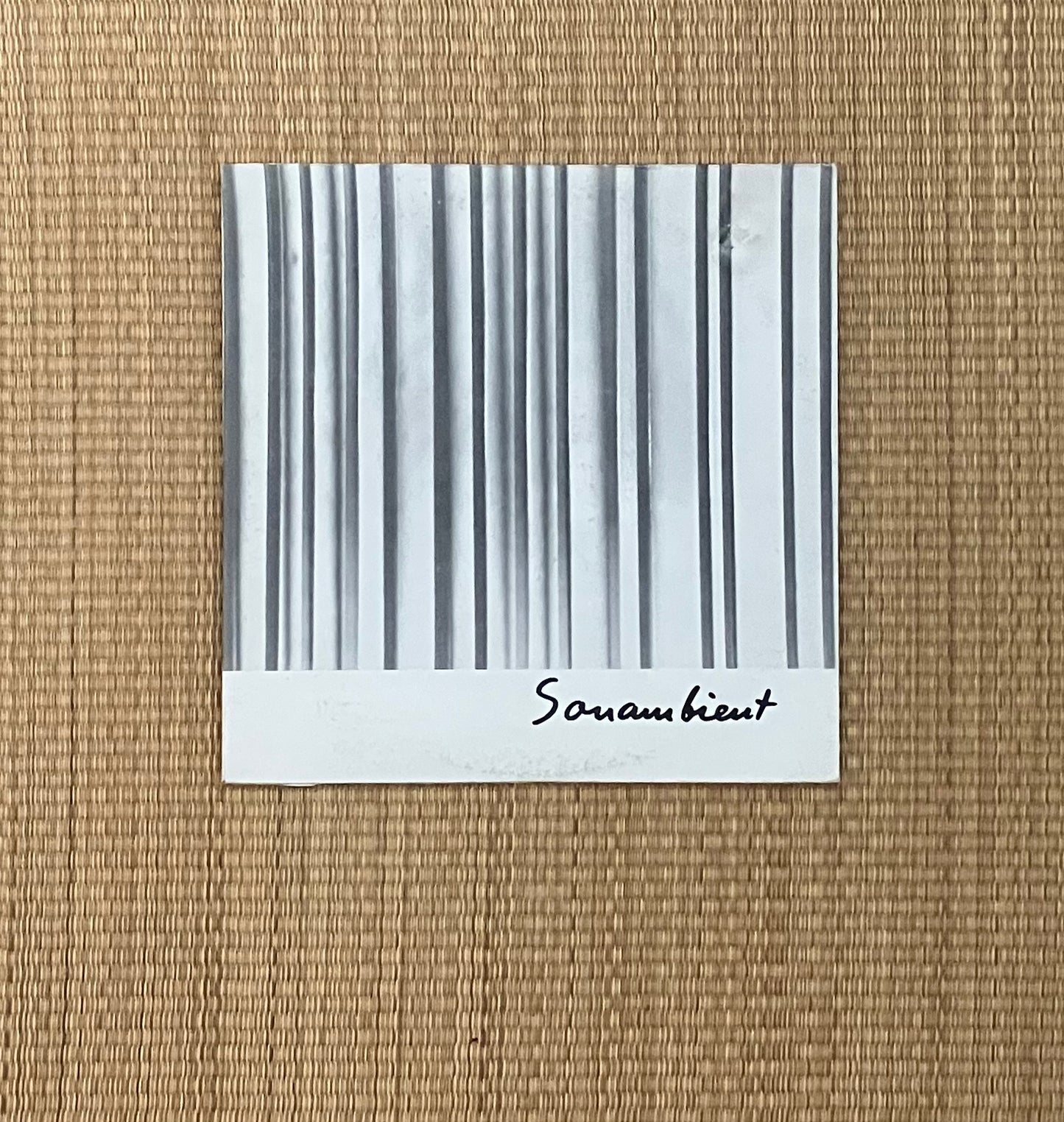 bertoia - continuum / near and far