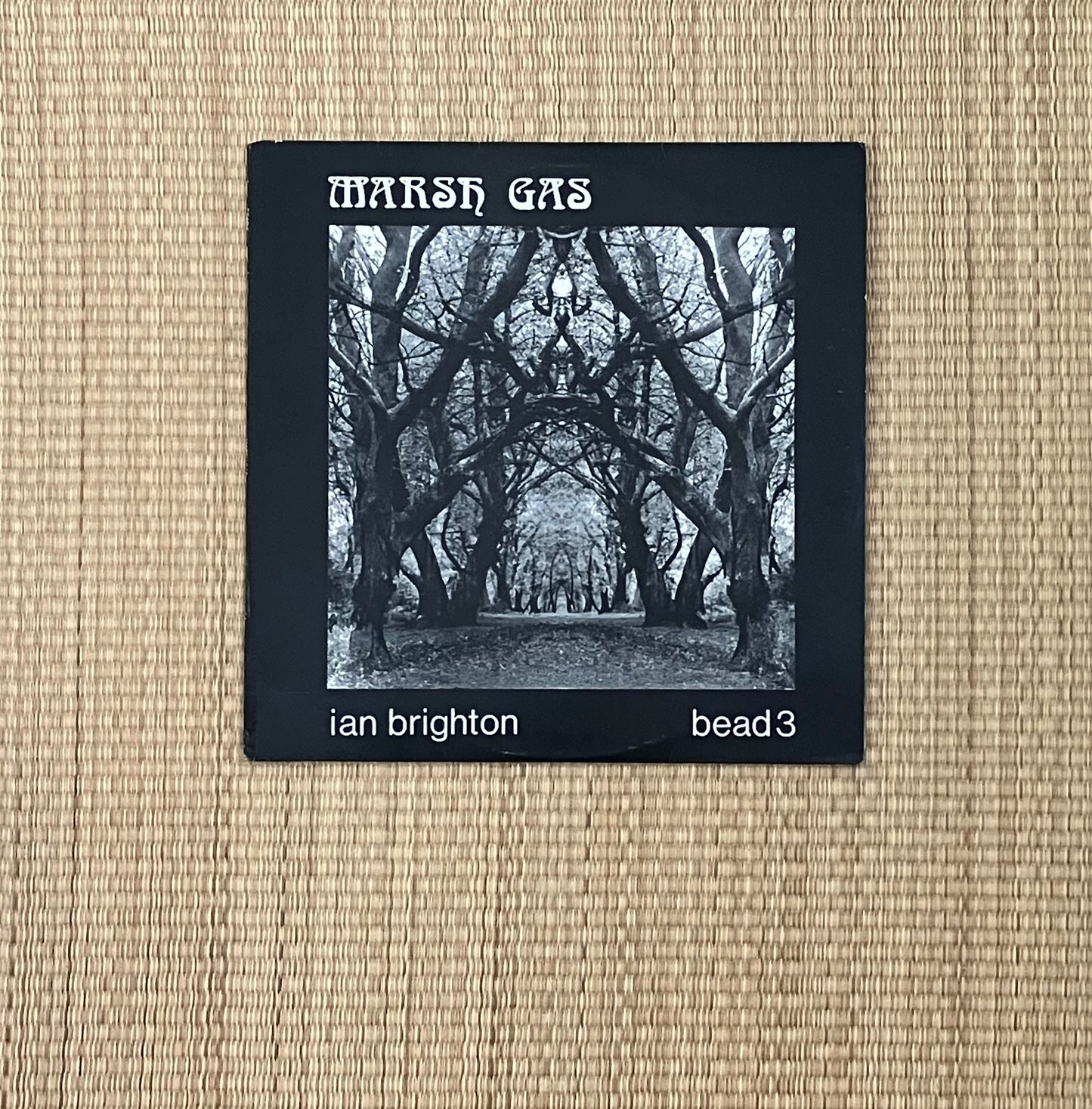 ian brighton - marsh gas