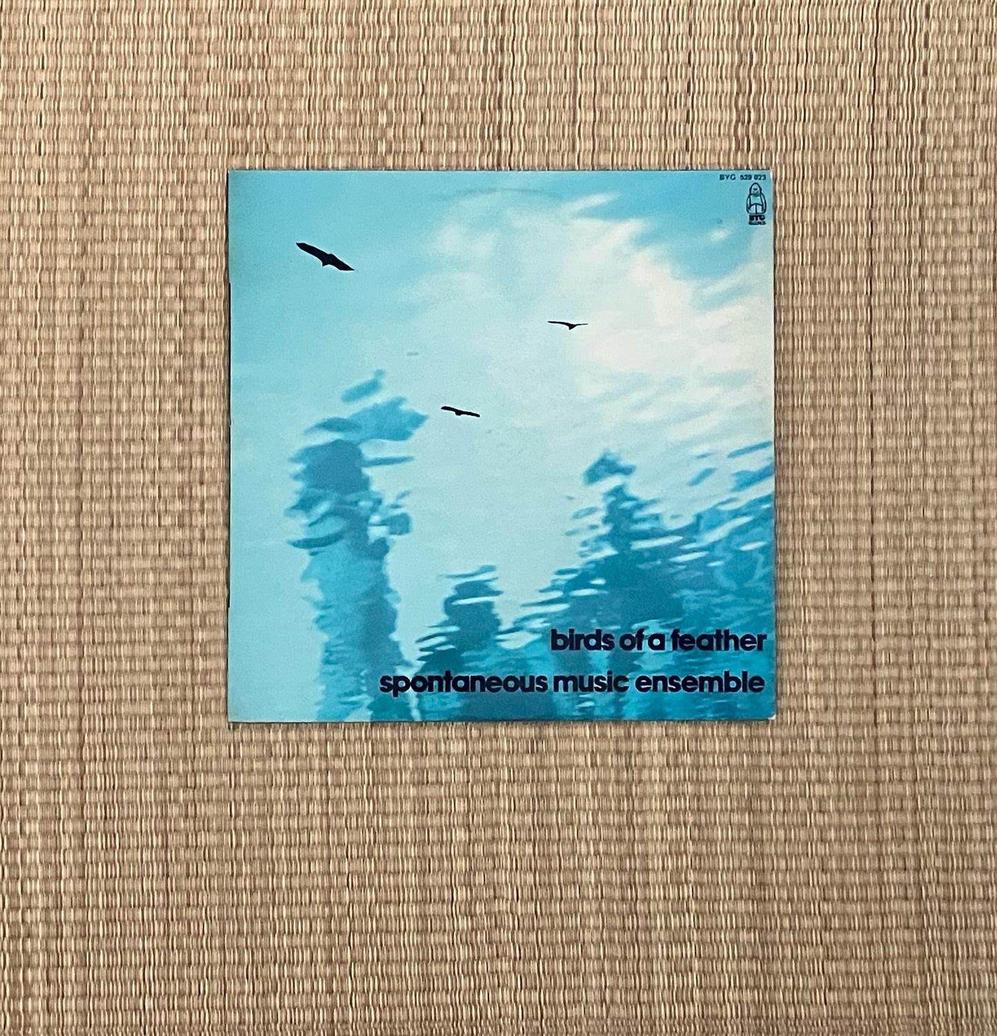 spontaneous music ensemble - birds of a feather