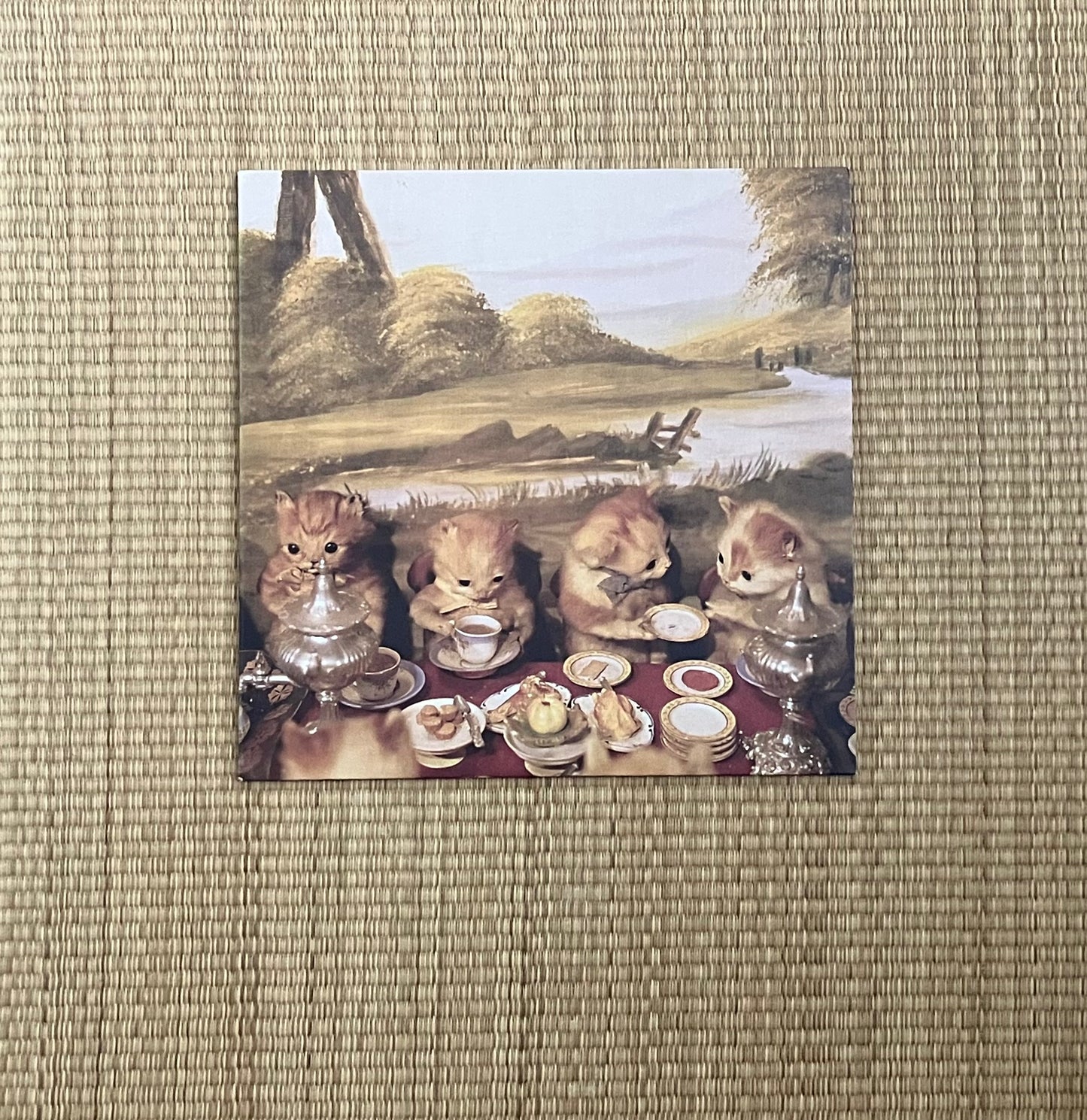 piano magic - low birth weight