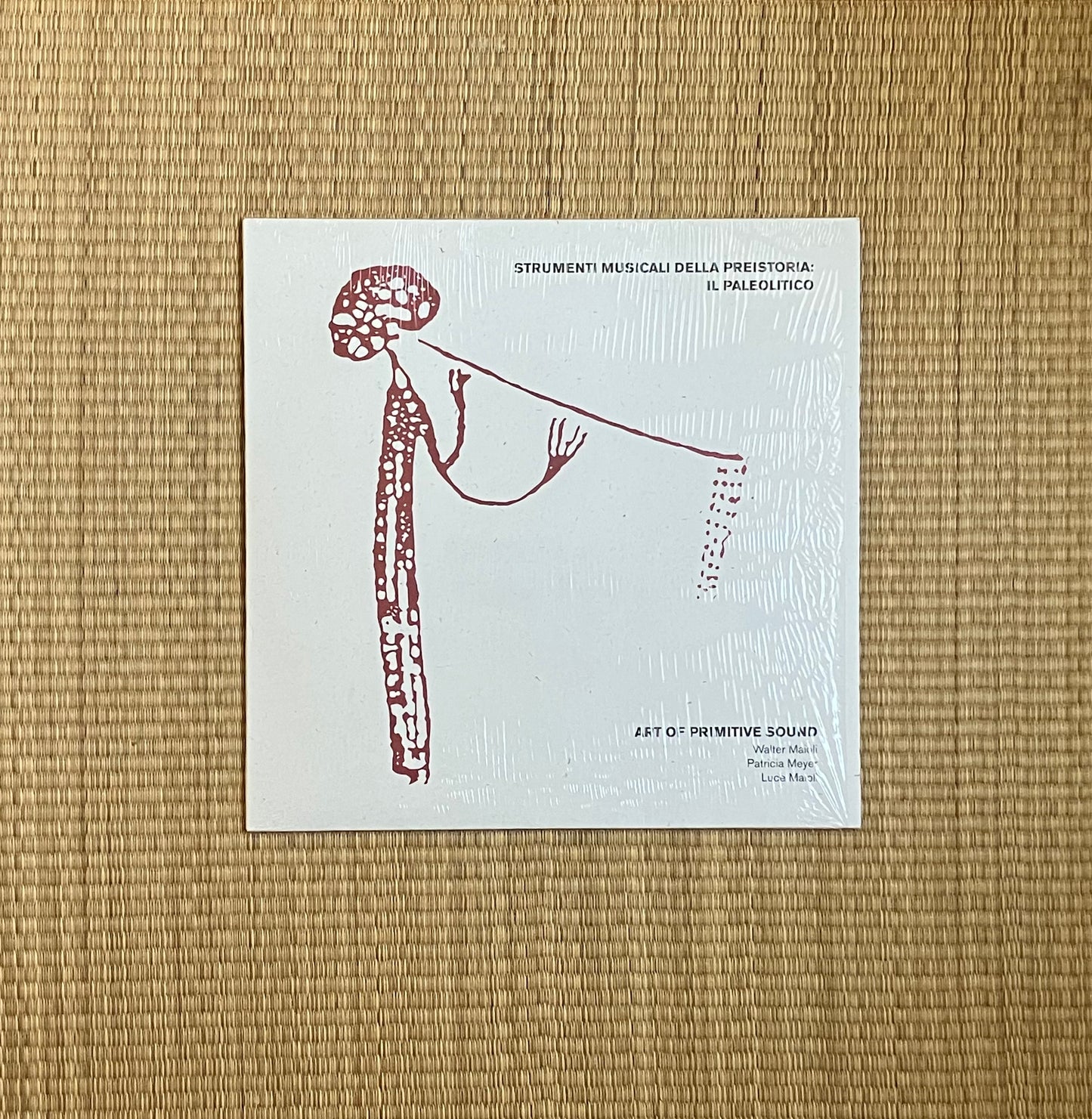 art of primitive sound - strumenti musicali della preistoria: il paleolitico