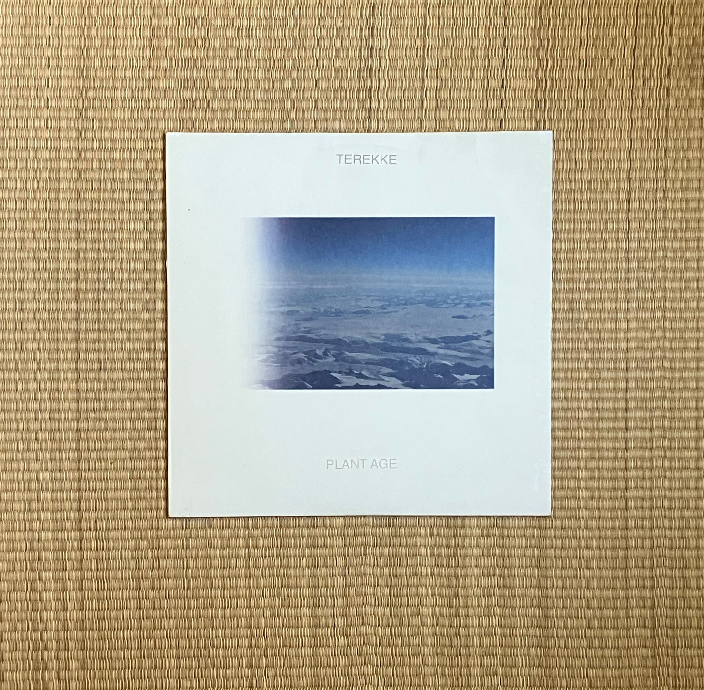 terekke - plant age