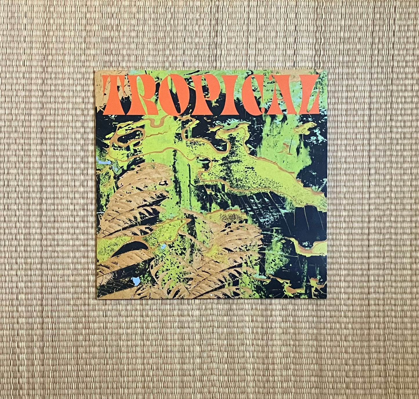 cv vision - tropical