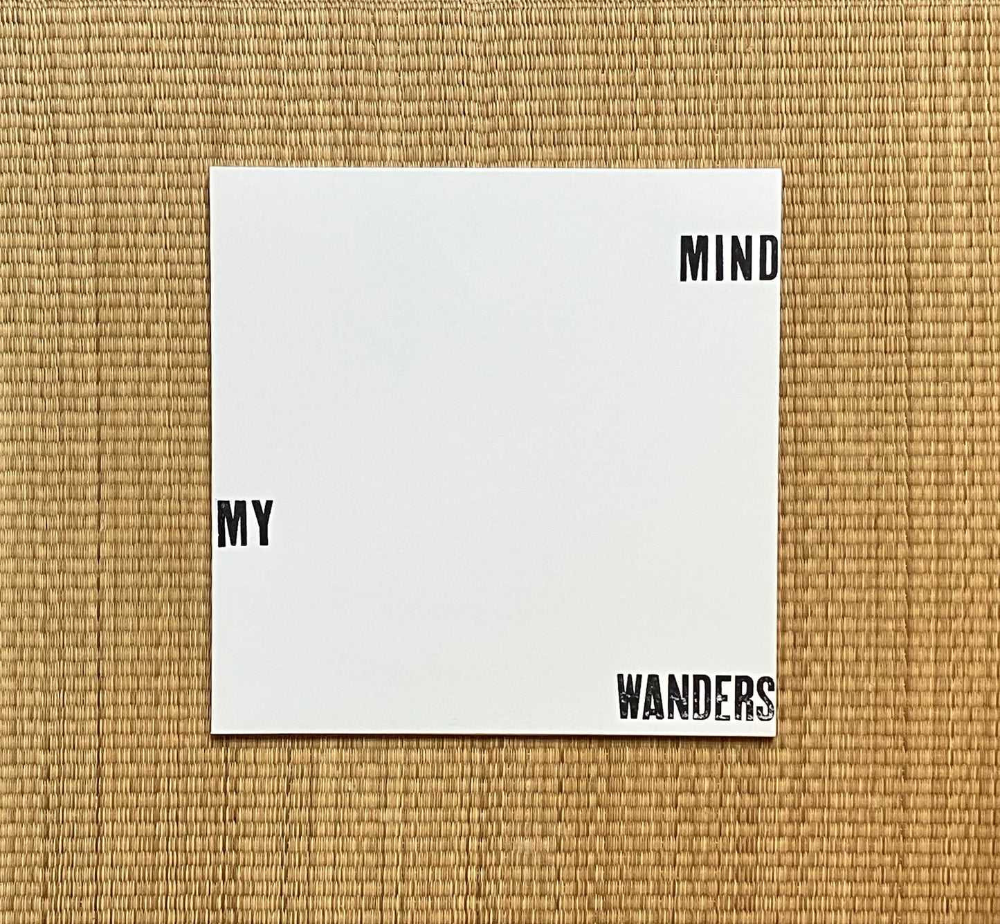 michael zulicki - my mind wanders
