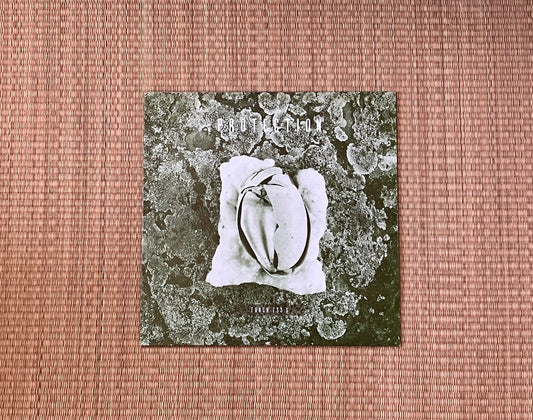 protection - s/t