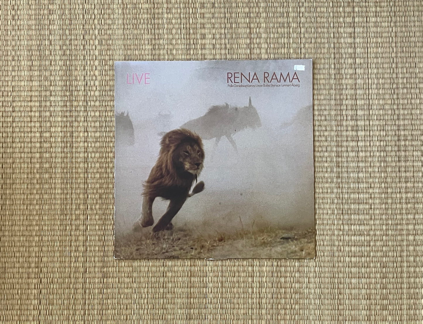 rena rama - live