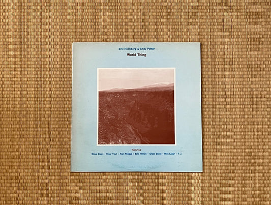 eric hochberg & andy potter - world thing