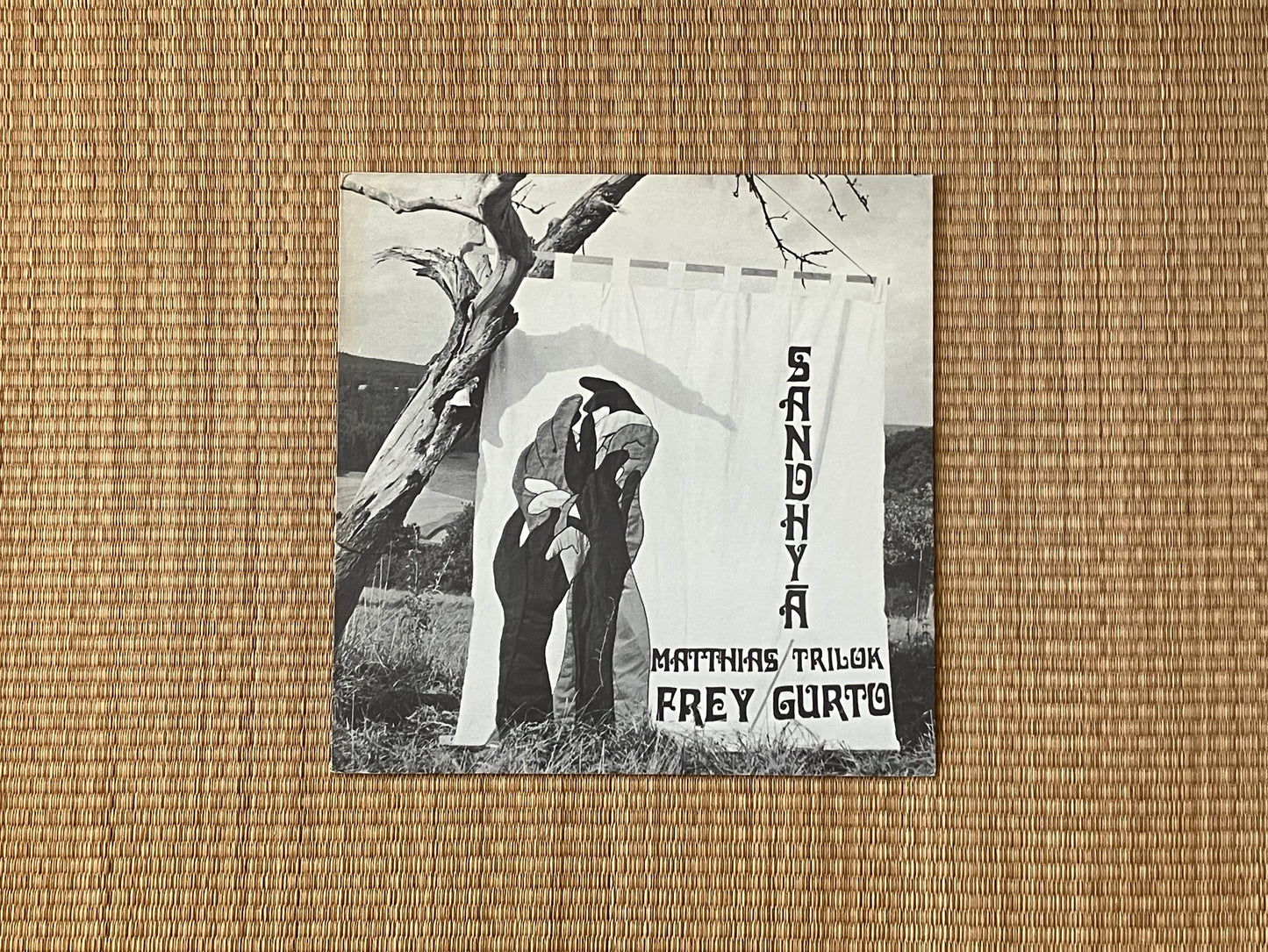 matthias frey, trilok gurto - sandhyā