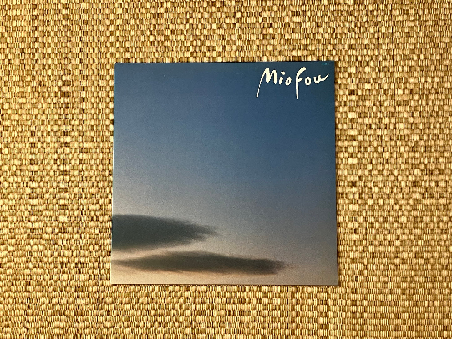 mio fou - s/t