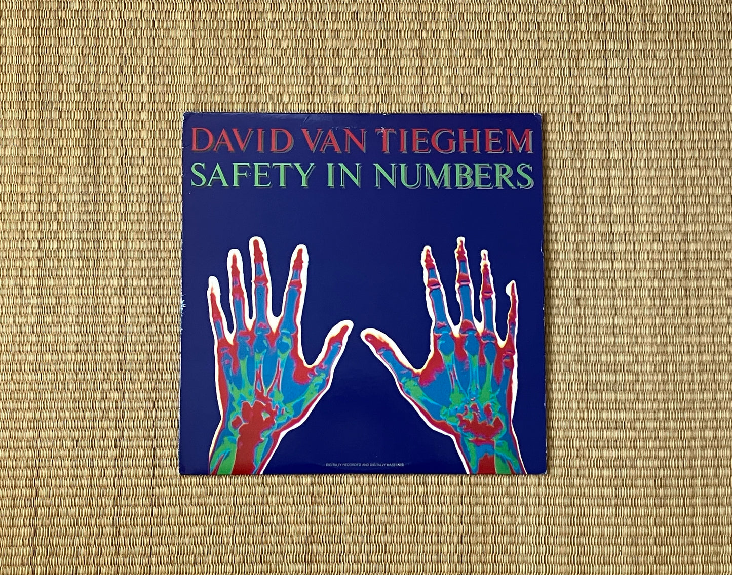 david van tieghem - safety in numbers