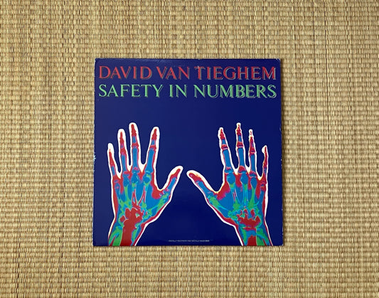 david van tieghem - safety in numbers