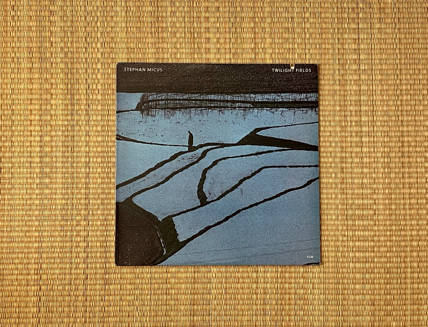 stephan micus - twilight fields