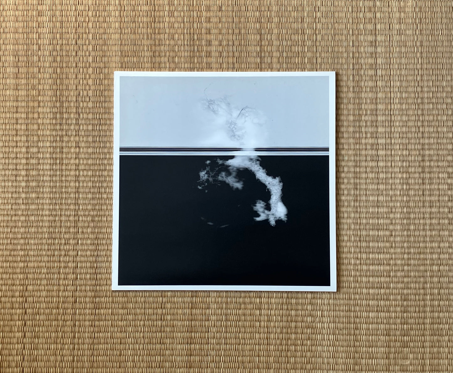 vera dvale & psykovarius - avav