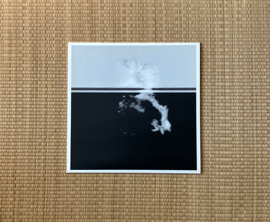 vera dvale & psykovarius - avav