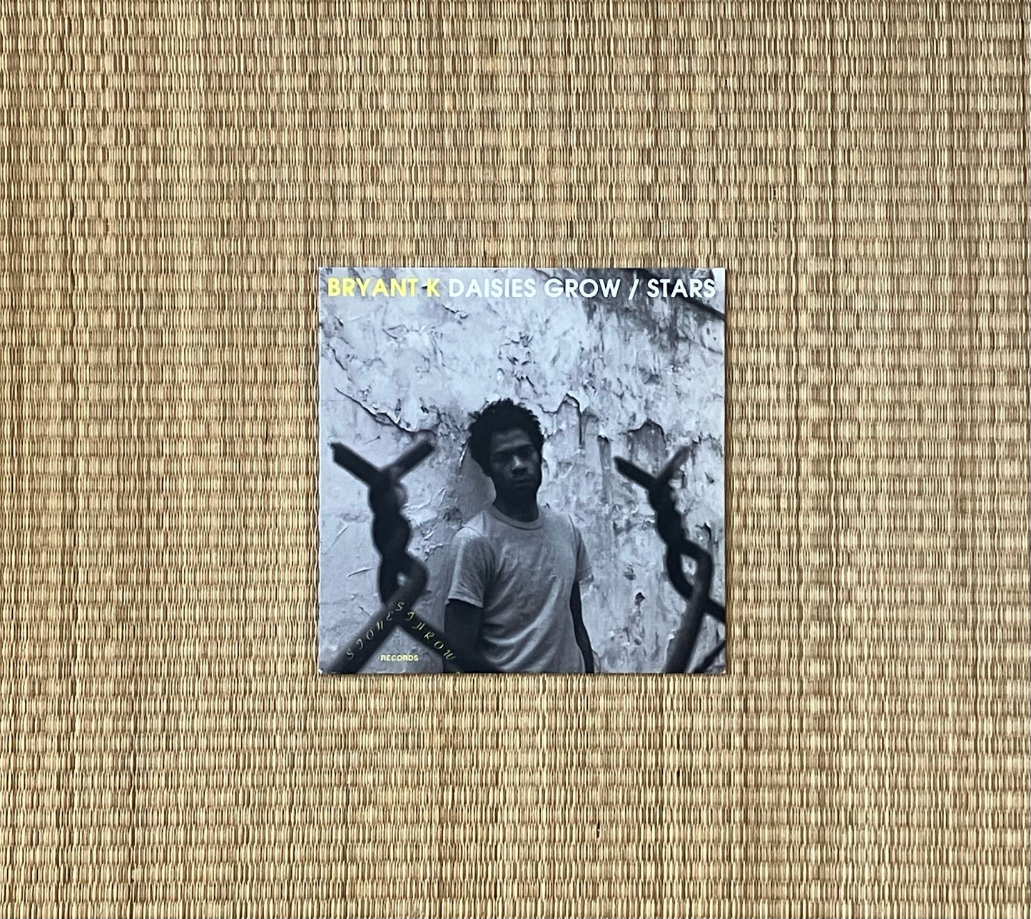 bryant k - daisies grow / stars