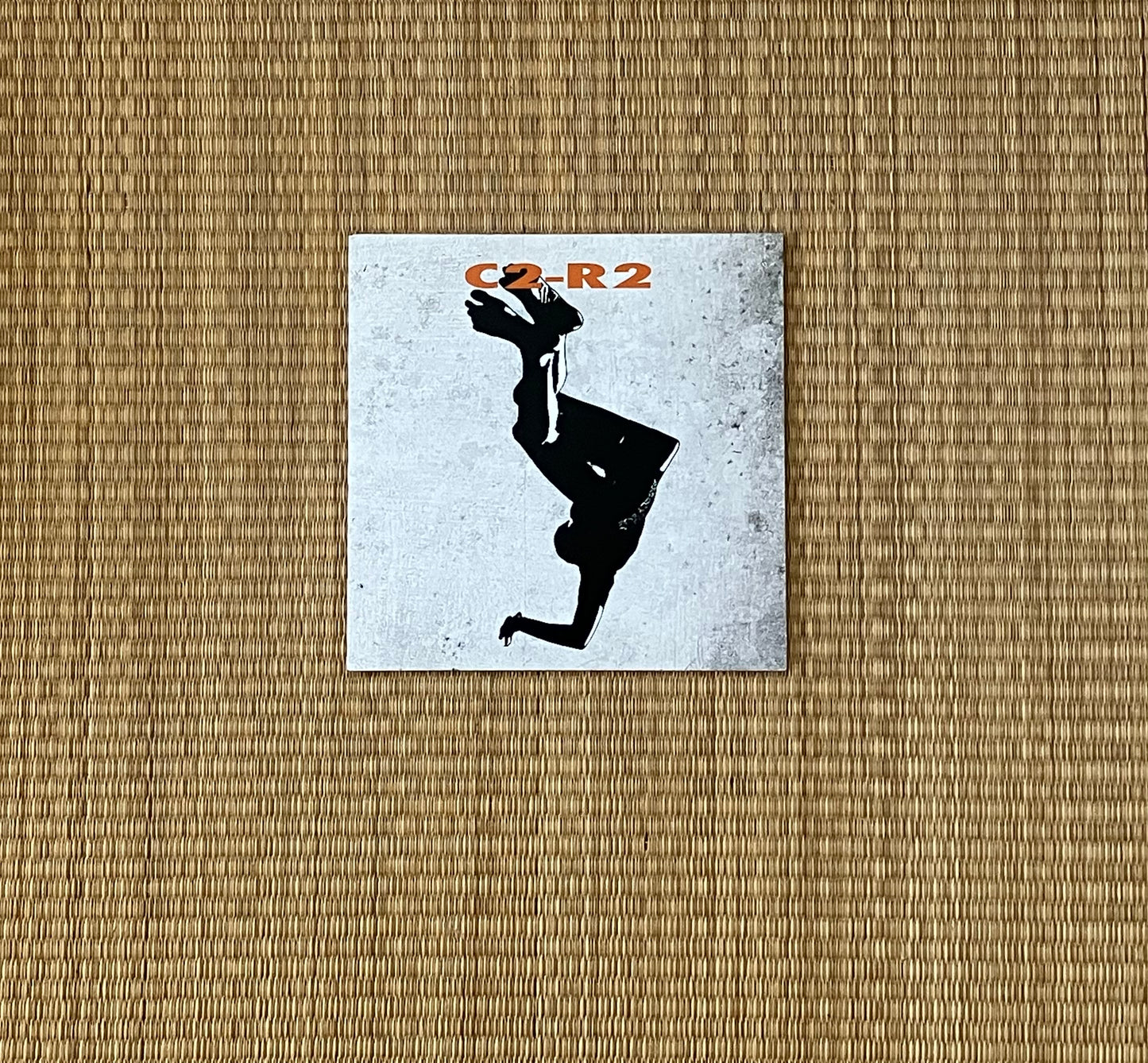 c2-r2 - everlasting f.u.g.i.