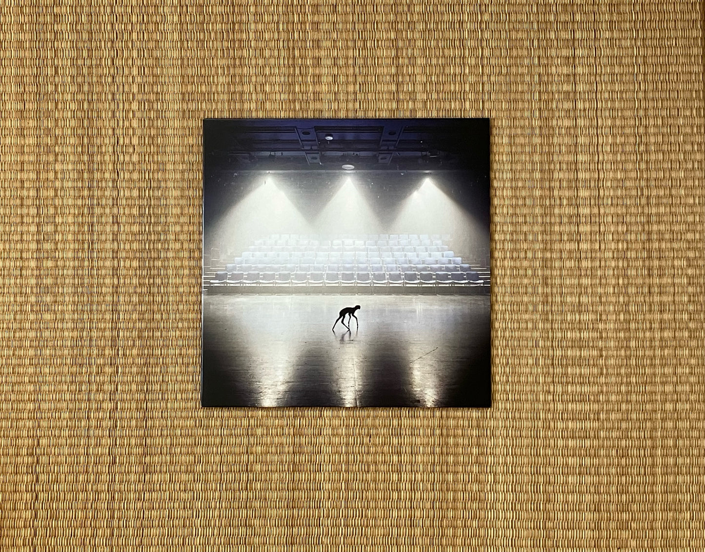 anom vitruv - untitled