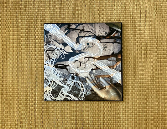 psychic sounds ensemble - sonic fermentations