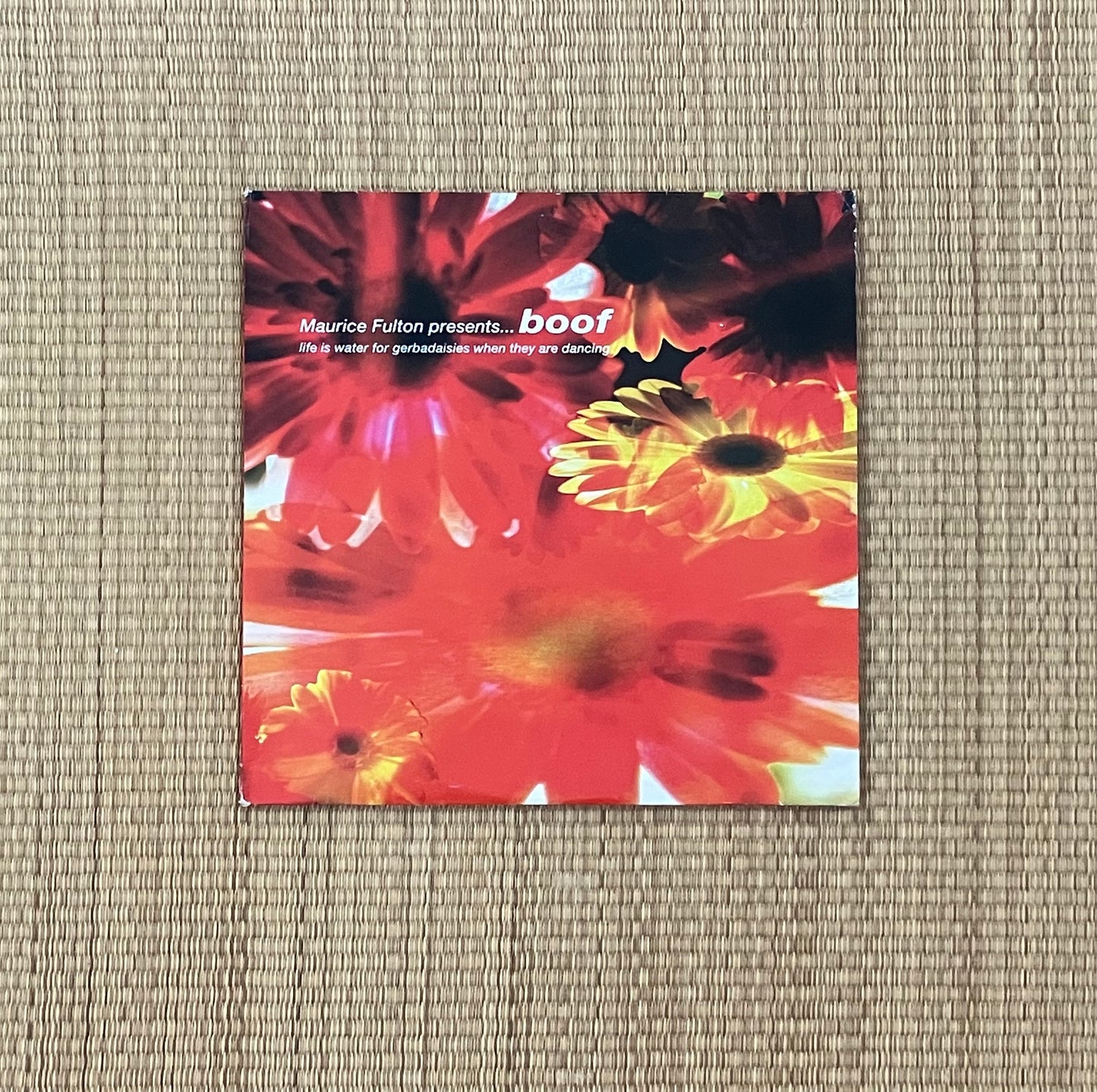 maurice fulton presents boof - life is water for gerbadaisies when they are dancing