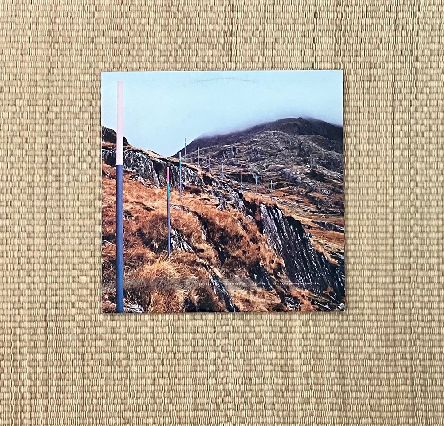 section 25 - from the hip