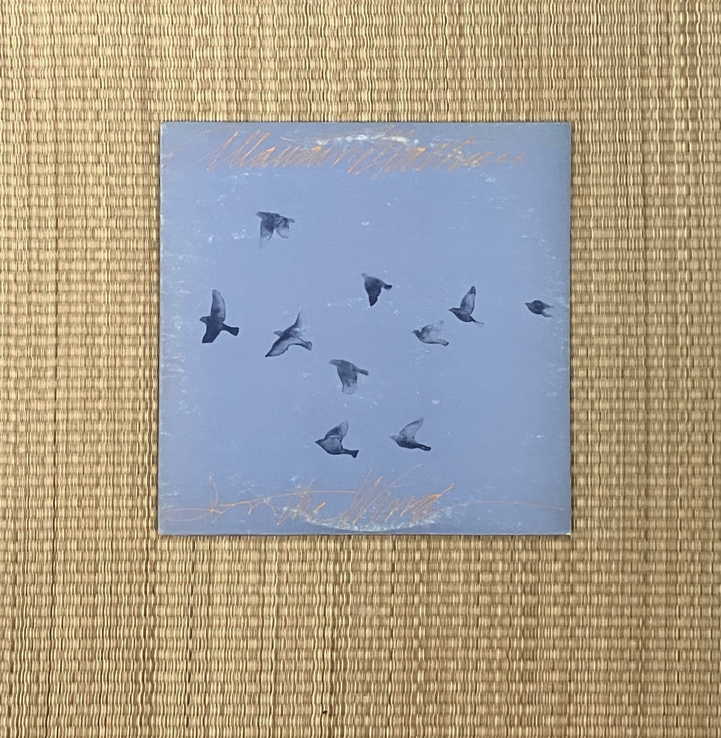 allaudin mathieu ‎- in the wind