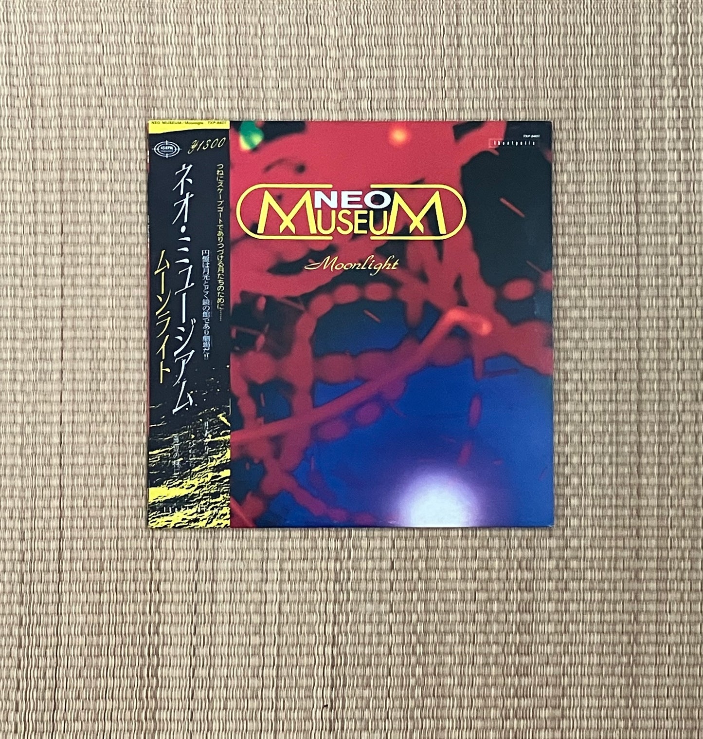 neo museum - moonlight