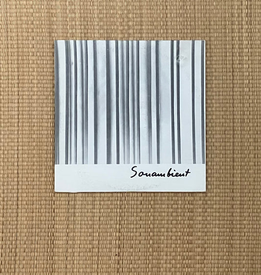 bertoia - continuum / near and far