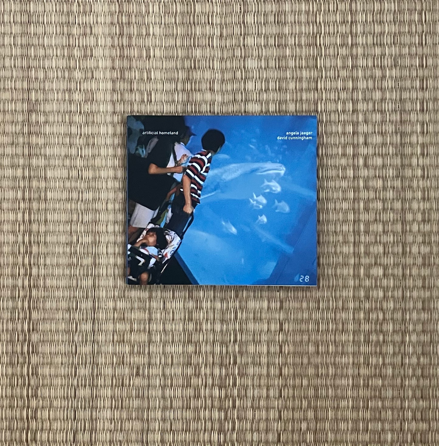 angela jaeger and david cunningham ‎- artificial homeland