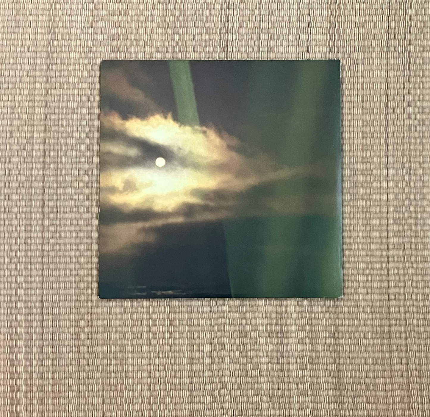 austin cesear - west side