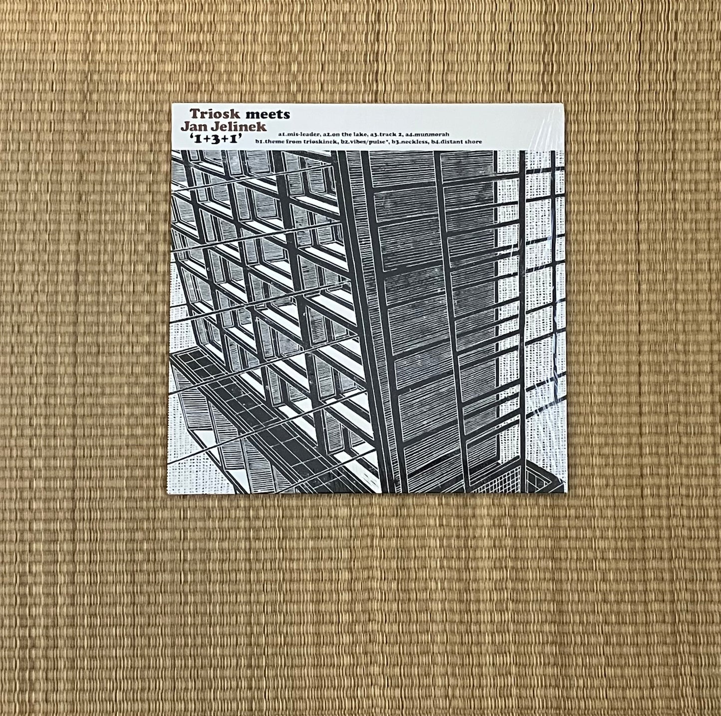 triosk meets jan jelinek - 1+3+1