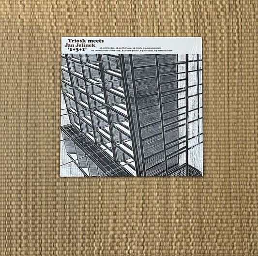 triosk meets jan jelinek - 1+3+1