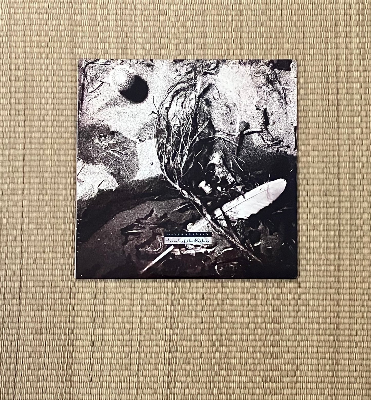 david sylvian - secrets of the beehive