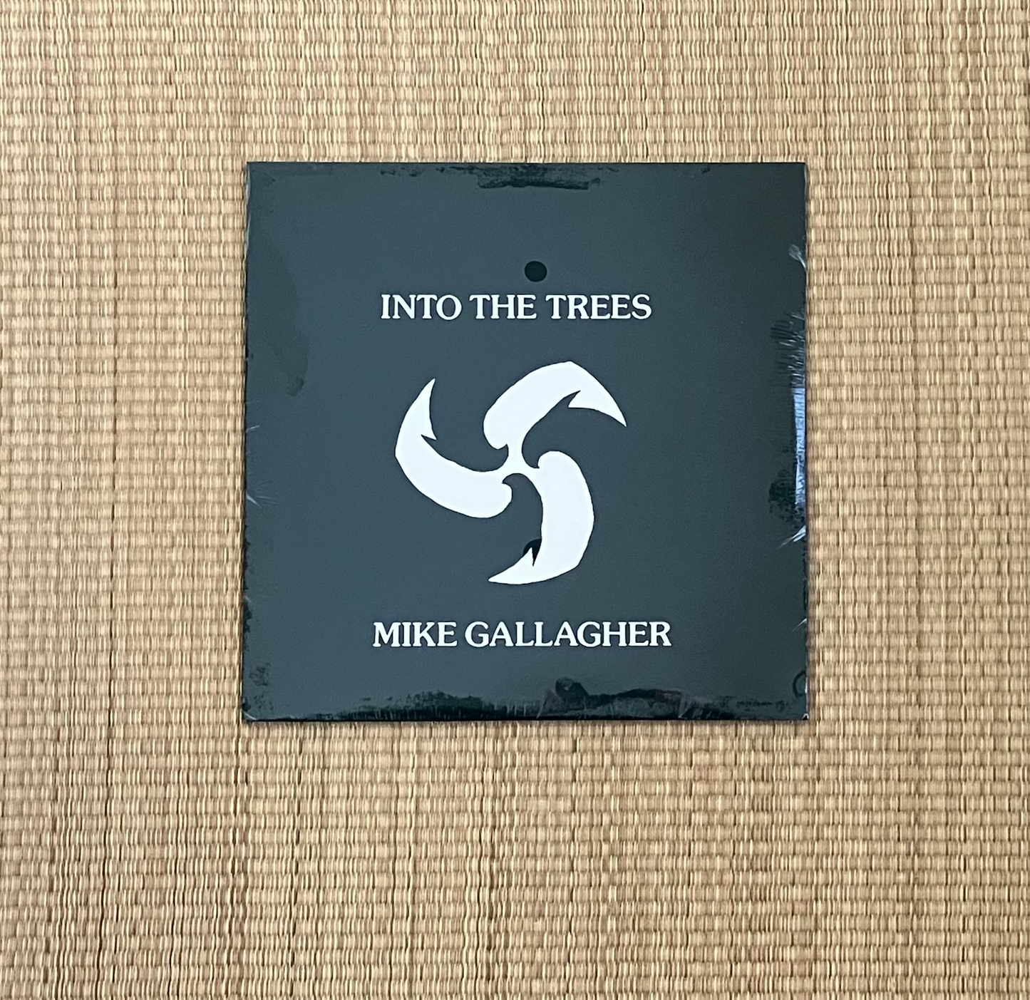 mike gallagher - into the trees