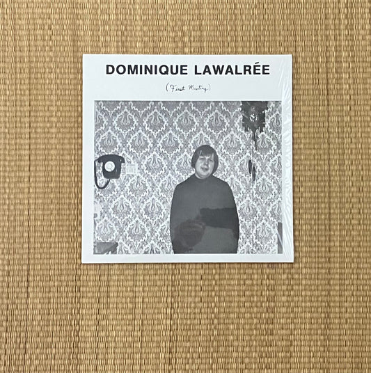 dominique lawalrée - first meeting