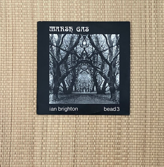 ian brighton - marsh gas