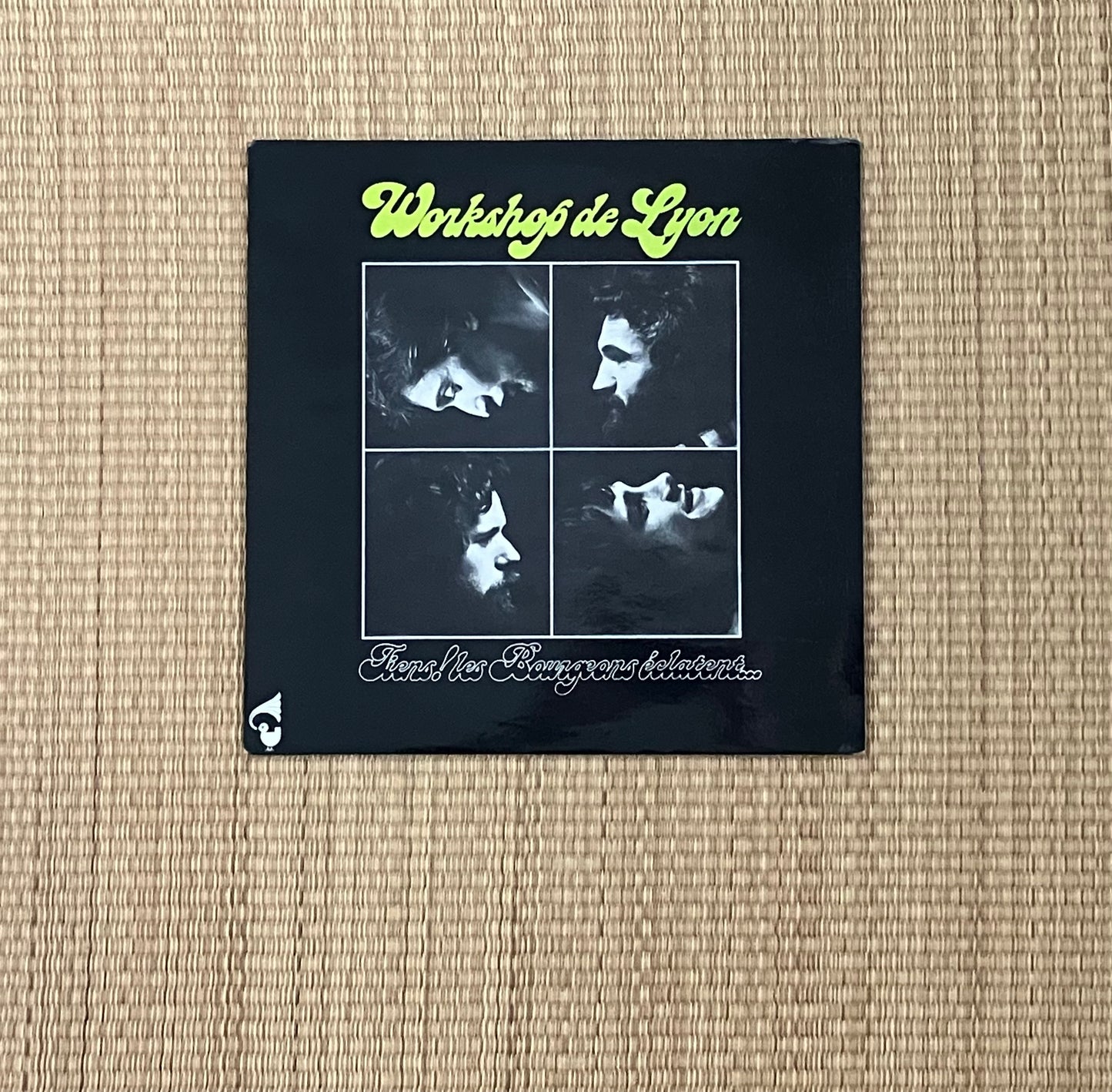 workshop de lyon - tiens ! les bourgeons éclatent...