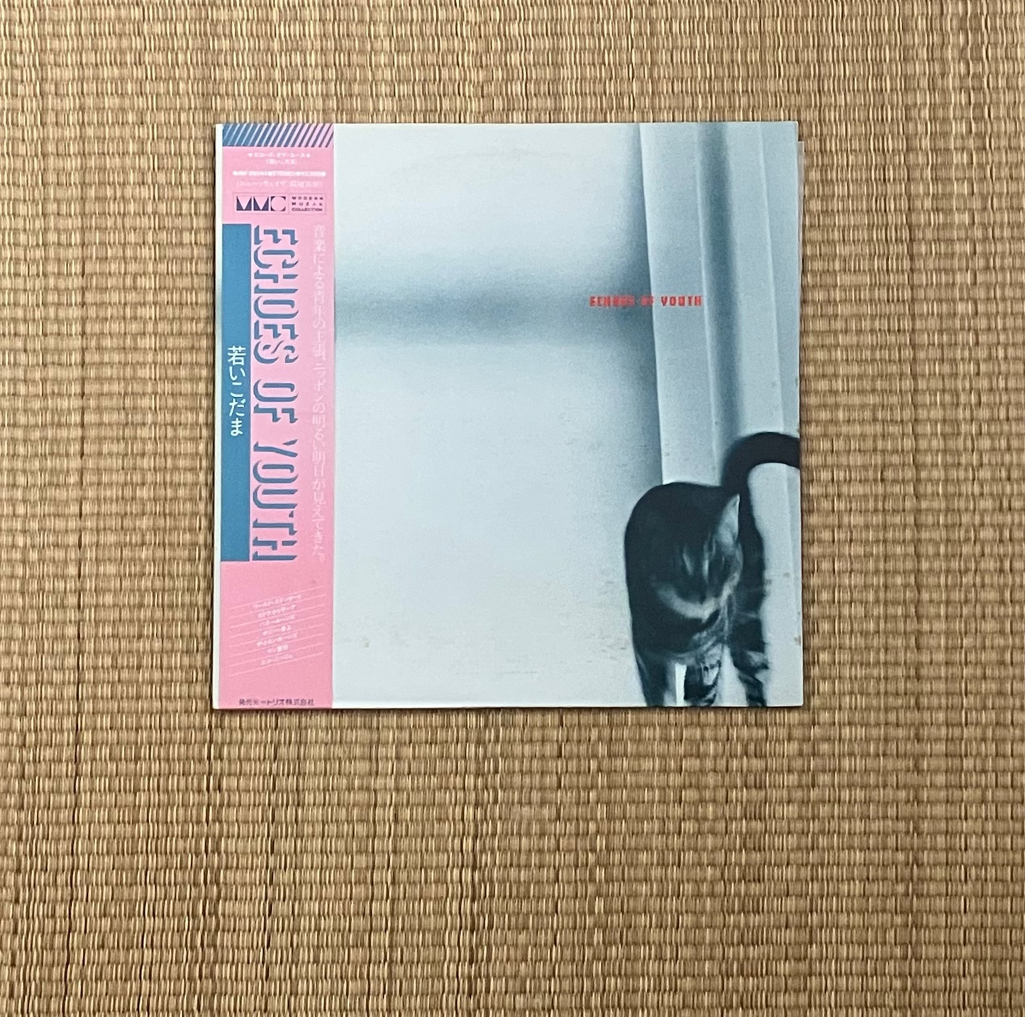 v/a - echoes of youth