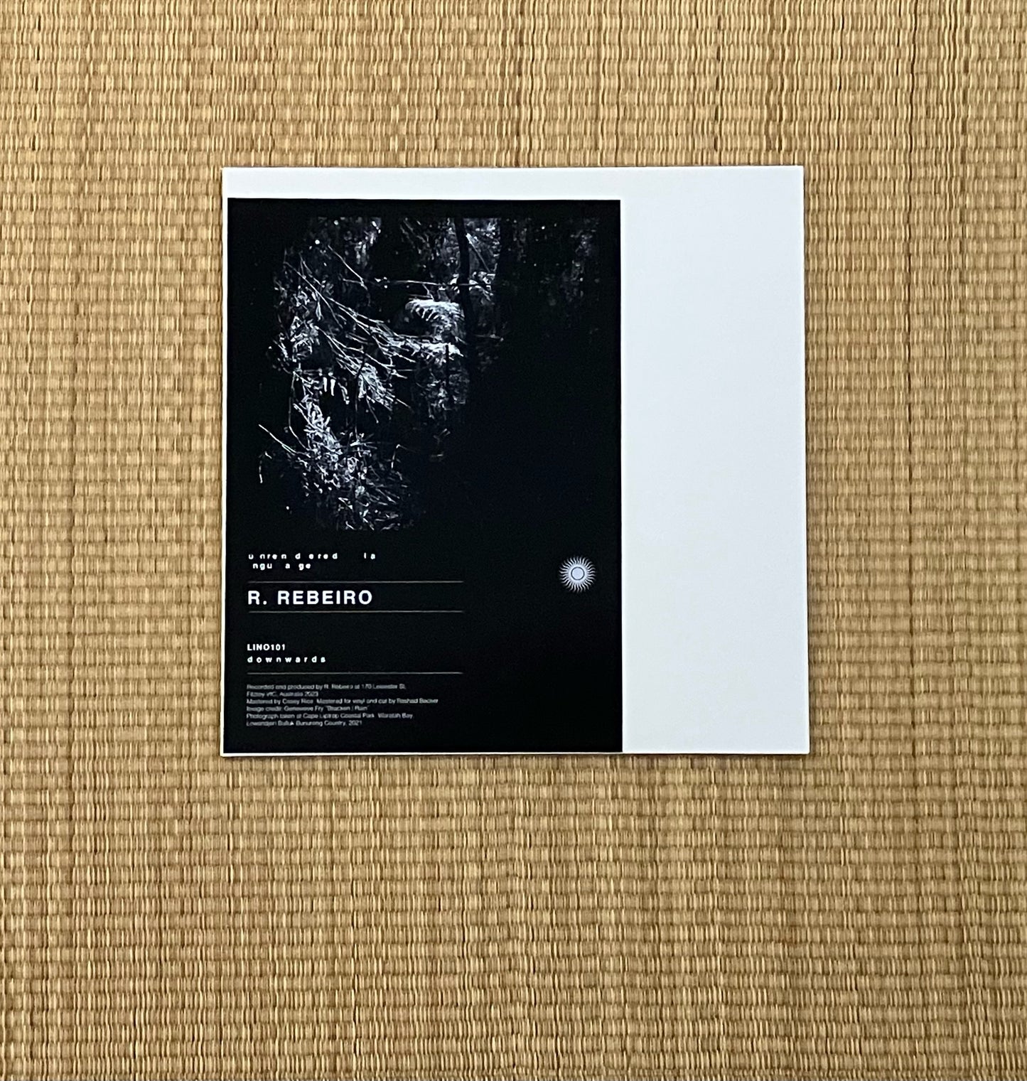 r. rebeiro - unrendered language