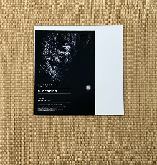 r. rebeiro - unrendered language