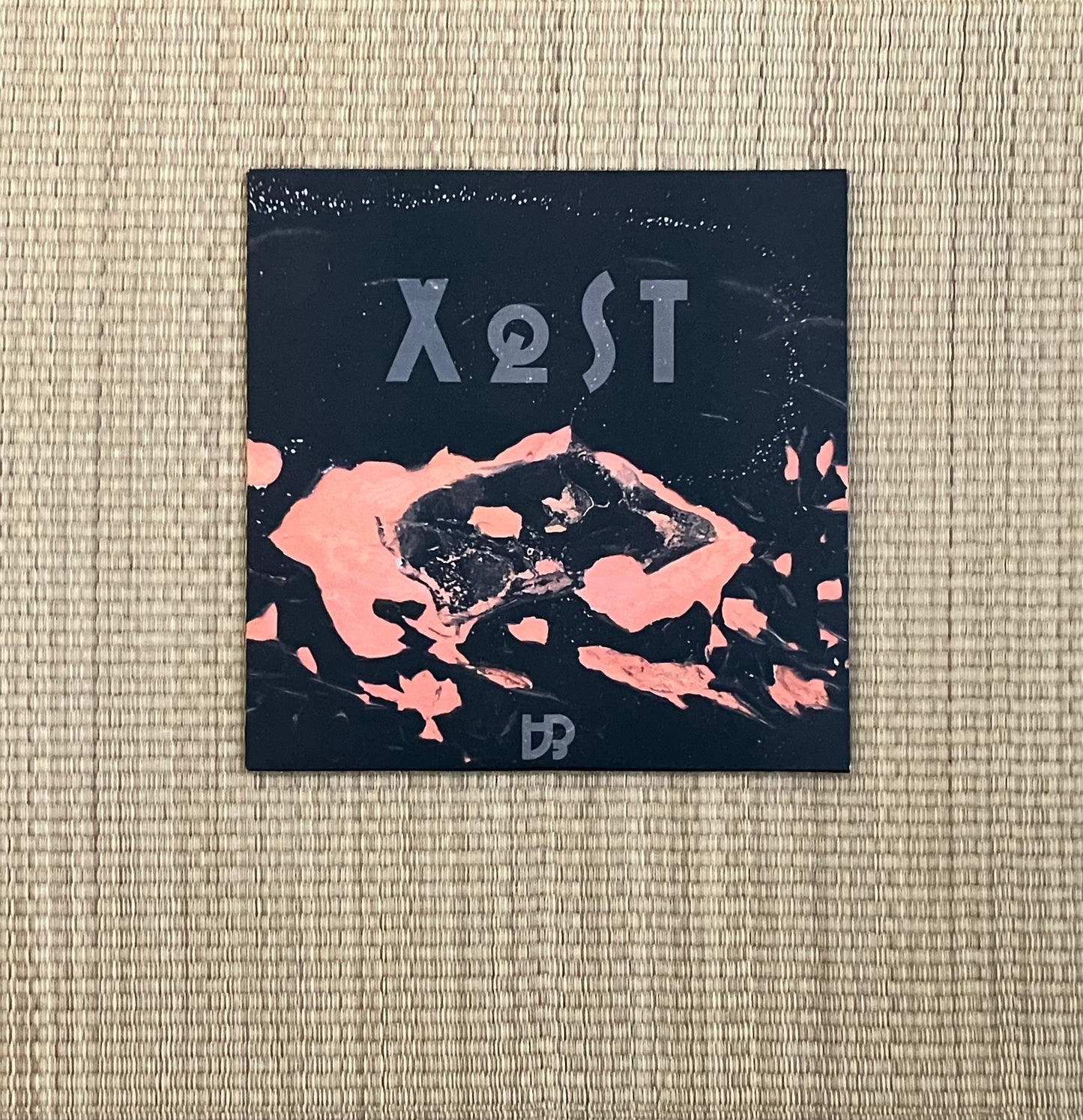 xqst - ∀∃
