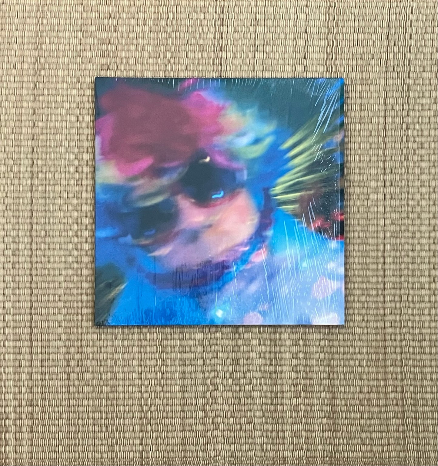 dennis duck - dennis duck goes disco