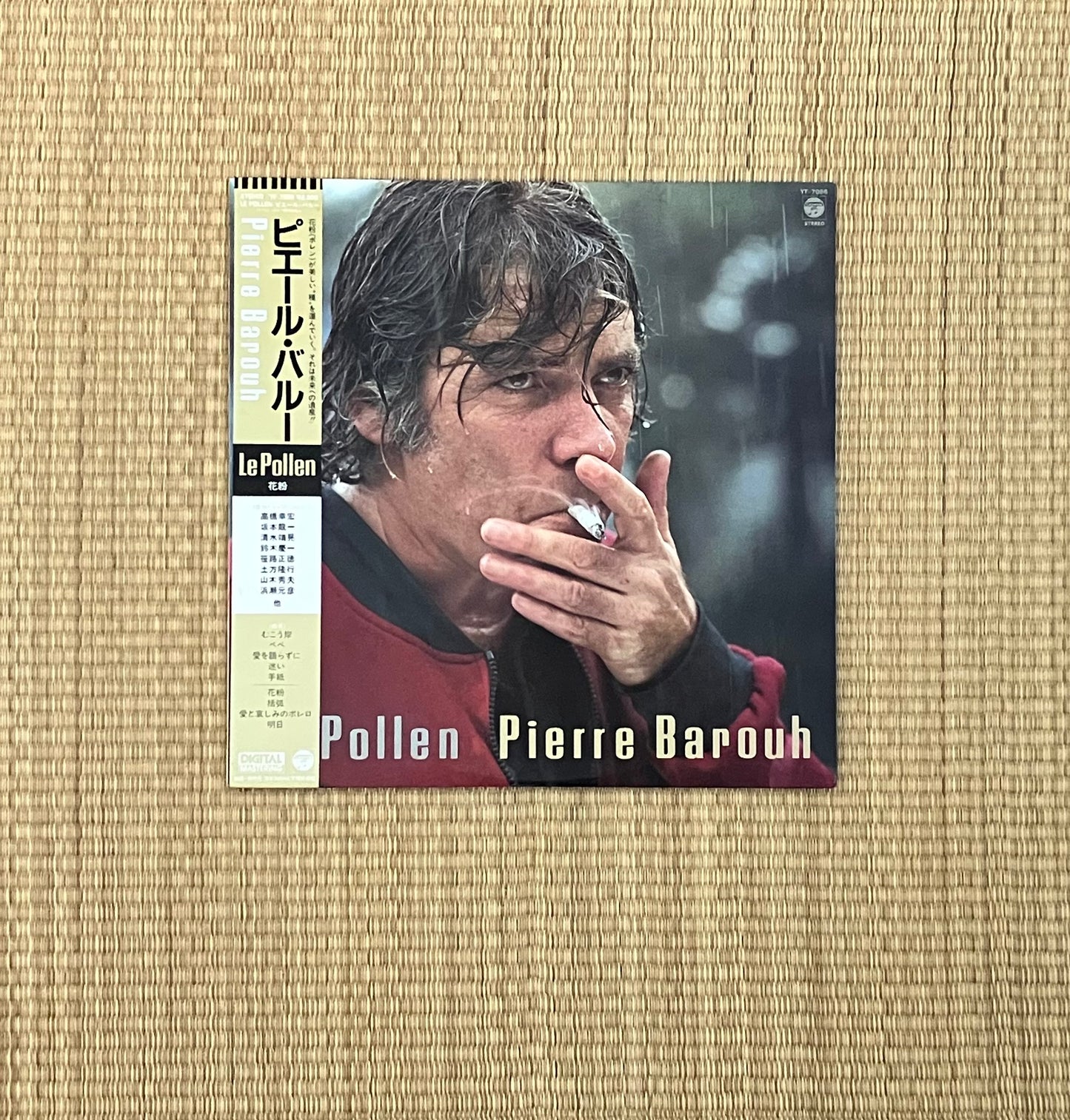pierre barouh - le pollen