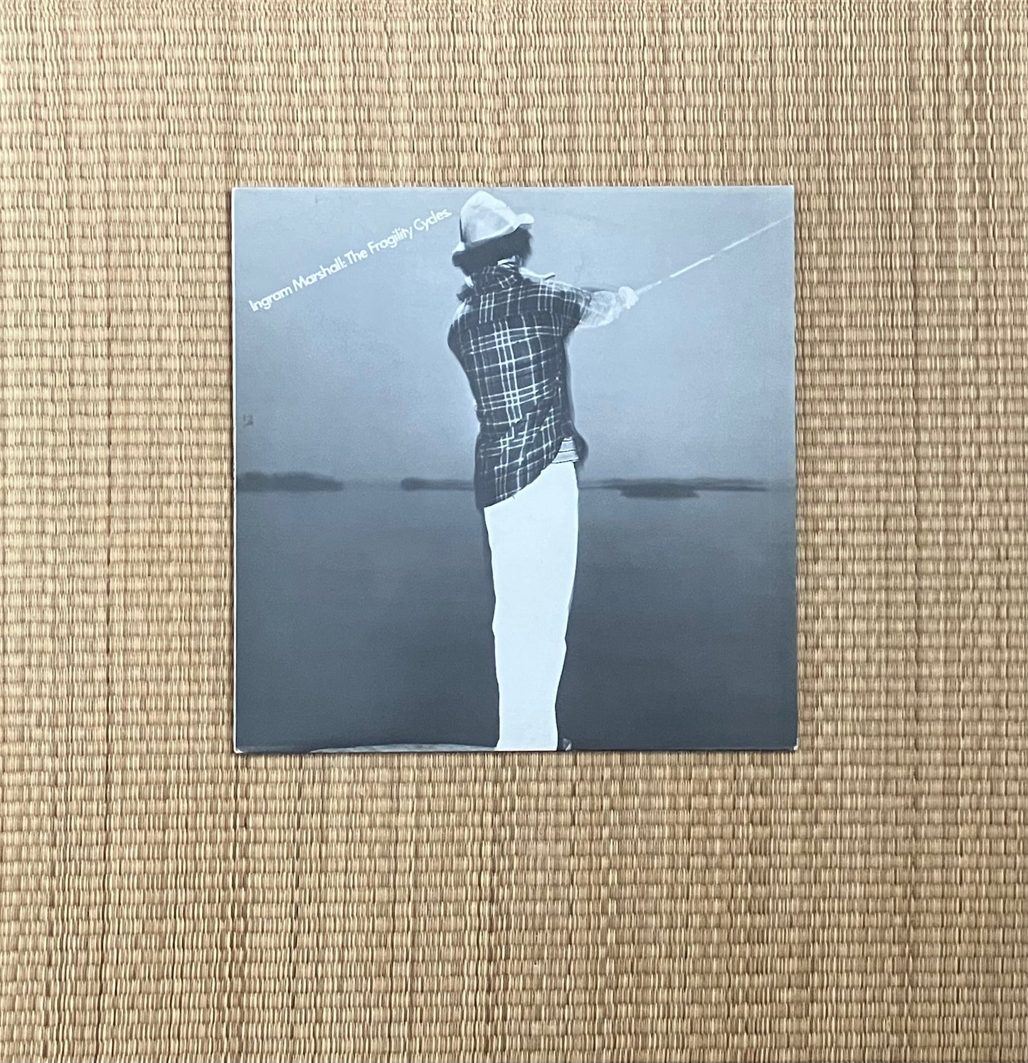 ingram marshall - the fragility cycles