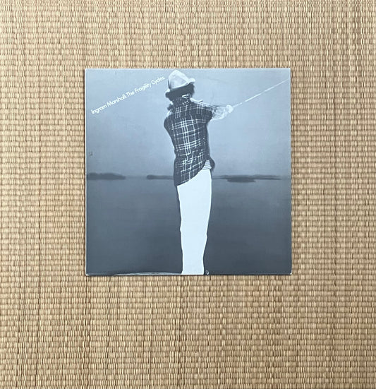 ingram marshall - the fragility cycles